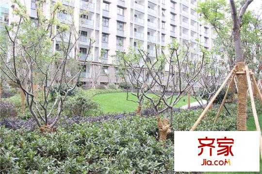 森隆?滿園小區(qū)（2015.10.29）