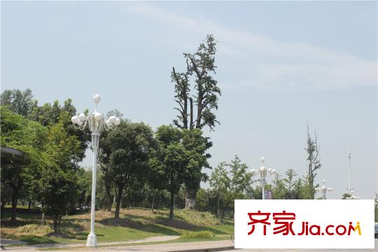 森隆?滿園環(huán)保自行車