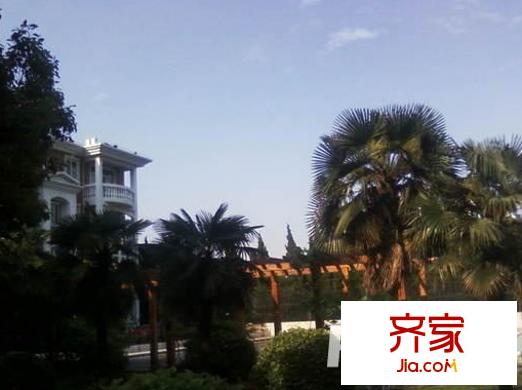 麗景花園別墅外景圖 