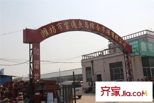 香頌灣項(xiàng)目西側(cè)寶通街魚鳥市場