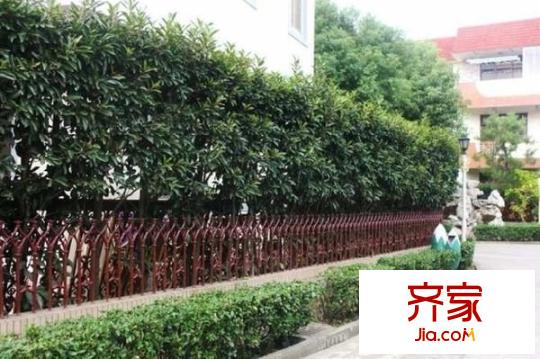 寶島別墅外景圖（一期） 