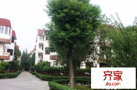寶島別墅外景圖（一期） 