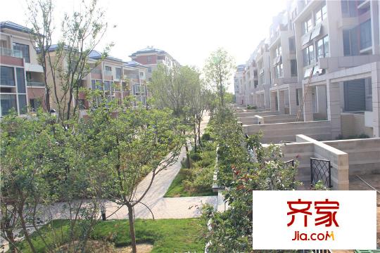 德潤康城小區(qū)內(nèi)部綠化（20150706）