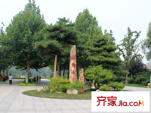 德潤康城向南100米濰坊市植物園
