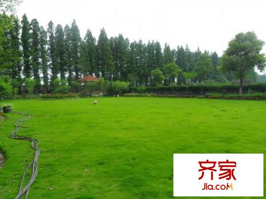 夢(mèng)萊茵外景圖 