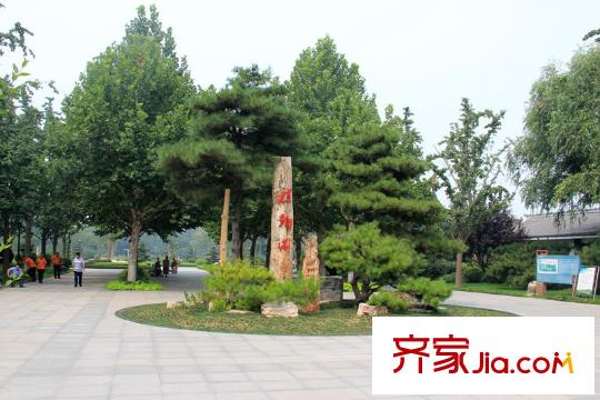 駿龍花園北300米濰坊植物園