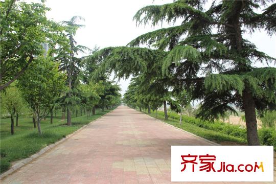 汶水花園汶河沿岸綠化實景