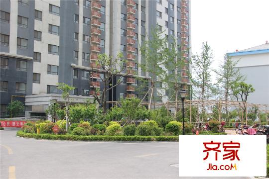 水韻華府小區(qū)綠化（2015-05-07）