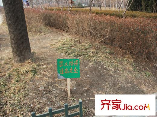 順海城市花園向南200米社區(qū)花園