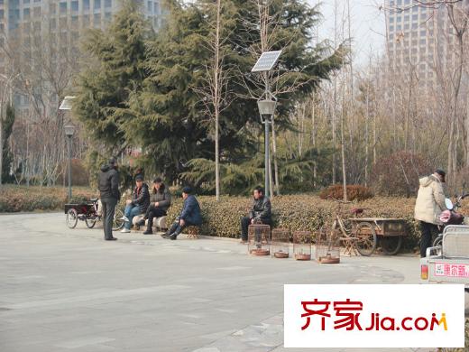 順海城市花園向南200米社區(qū)花園