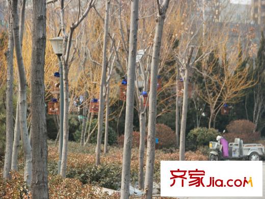 順海城市花園向南200米社區(qū)花園
