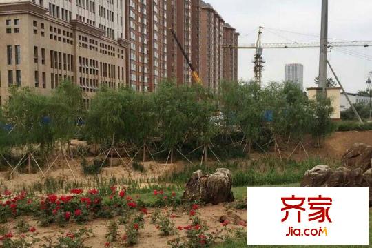 辰隆星河城園林綠化（20150527）