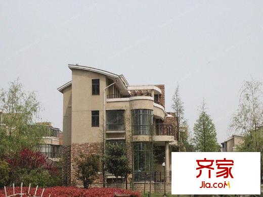 金色森林別墅外景圖 