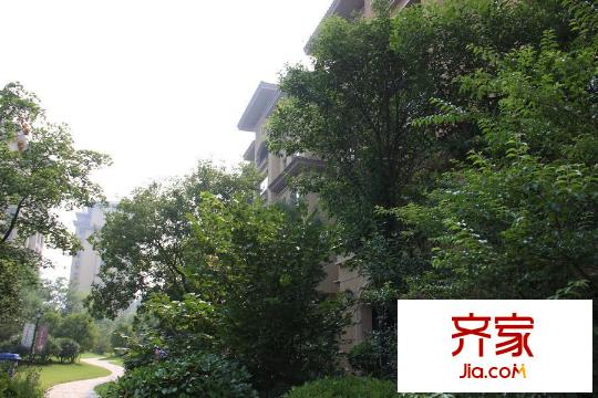 茂華愛琴海小區(qū)內(nèi)部景觀（2015-08-27）