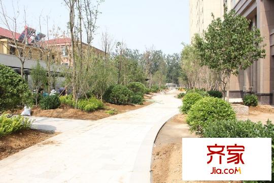 德潤左岸綠洲小區(qū)綠化施工（2015-06-26）