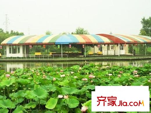 郁金香花園配套圖 周邊配套