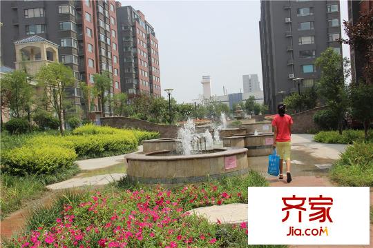 萬基寶通家園小區(qū)內(nèi)部綠化（20150806）