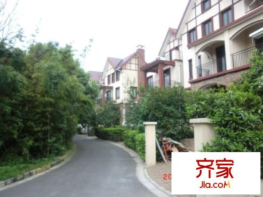 大唐奧斯汀外景圖 