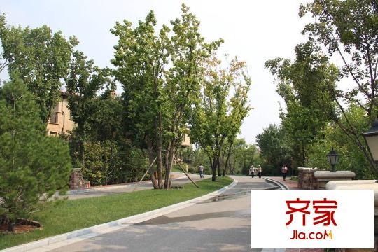 卡納圣菲小區(qū)園林綠化（2015-9-22）