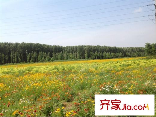 荔水灣項(xiàng)目東100米北辰公園