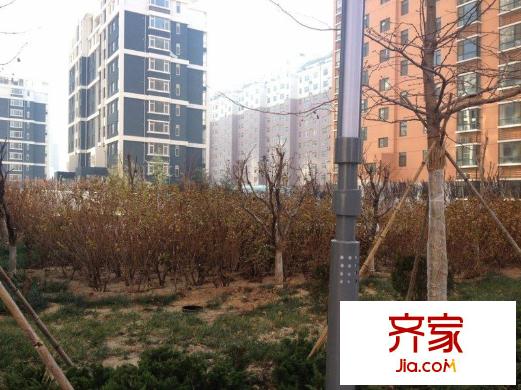 金鼎家園外景圖 