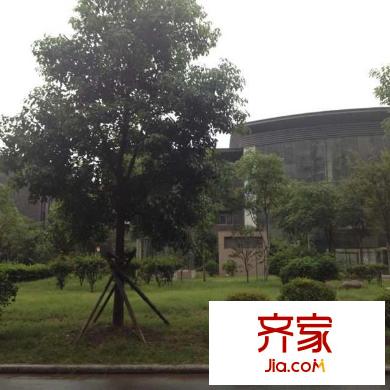 貴都之星外景圖 