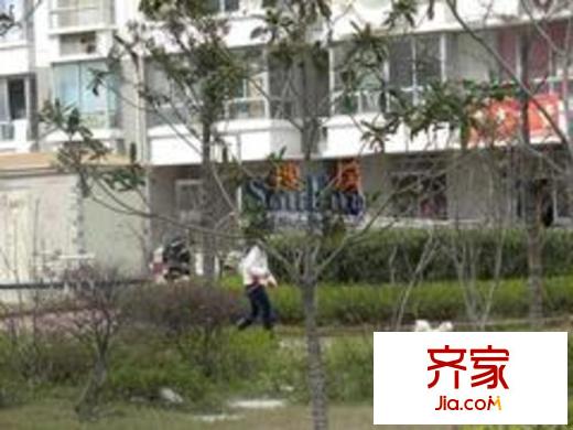 紫陽新城