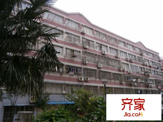 城東小區(qū)外景圖 