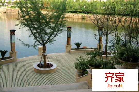 藍(lán)灣景天