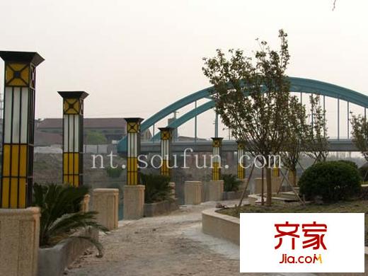 藍灣景天1(20071114)