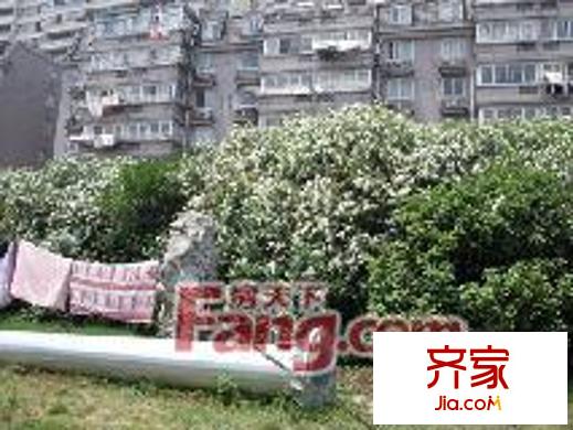 板橋南村外景圖 