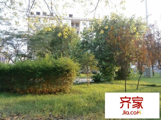 長江新村外景圖 