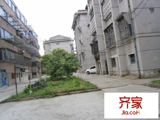 紫薇三村外景圖 