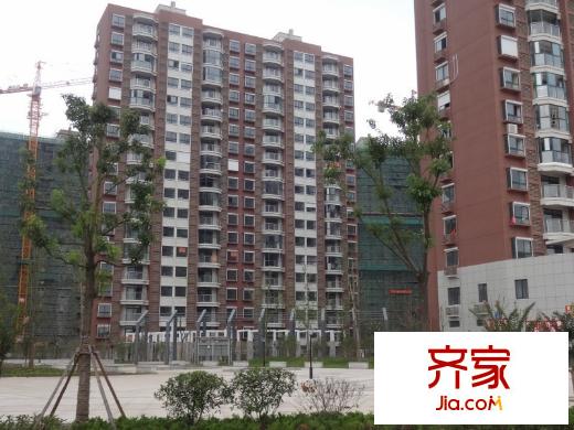 啟東城東花園外景圖 