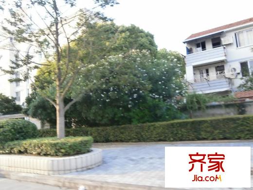 明珠新村外景圖 
