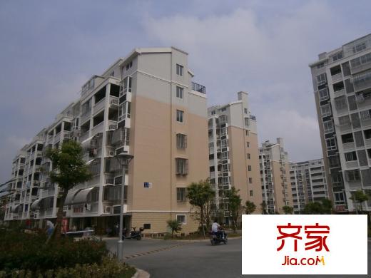 金霞東苑外景圖 
