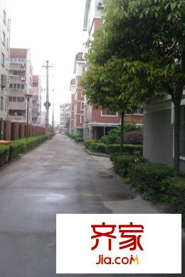 振興花園外景圖 