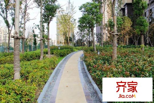 銀洲皇家花園二期皇家學(xué)苑綠化（2015-08-25）
