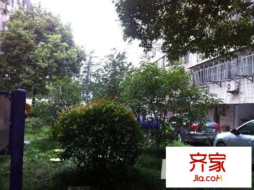 佳苑東區(qū)外景圖 