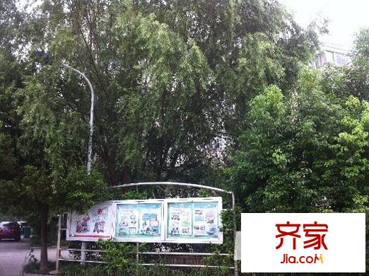 佳苑東區(qū)外景圖 