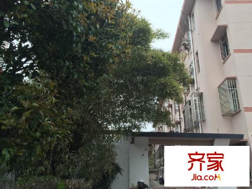 解放新村外景圖 
