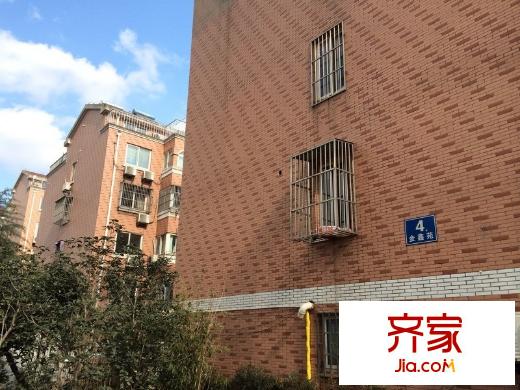 金鑫苑外景圖 