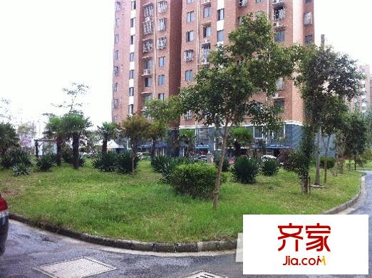 學(xué)林東苑外景圖 