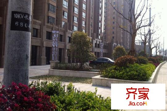北城名郡區(qū)內(nèi)綠化（2015-08-27）