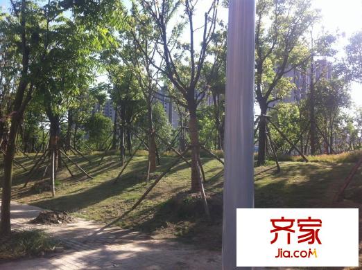 朝陽新村外景圖 