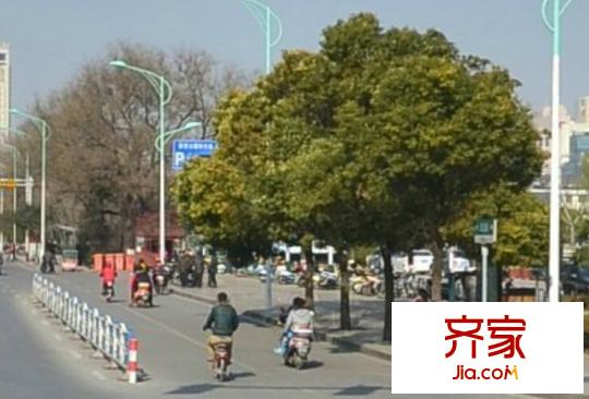 朝暉小苑外景圖 