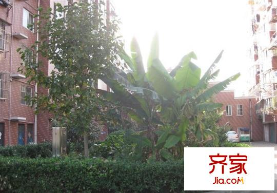 光明西村外景圖 
