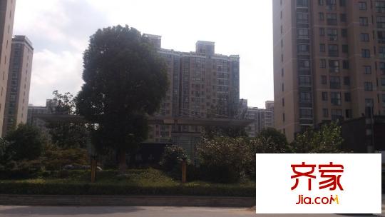 鳳凰萊茵河畔外景圖 