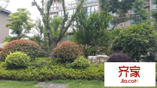 軍山匯賢居外景圖 