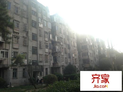 新桃園